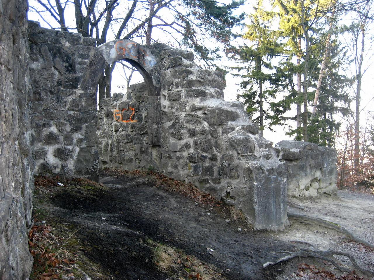 Burgruine Friesenberg